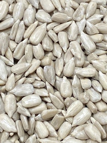 South Dakota Sunflower Seeds- Kernels